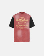 Patchwork Washed Graphic T-Shirt | Flation Streetwear